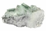 Glass-Clear, Green Cubic Fluorite Crystals - China #205557-1